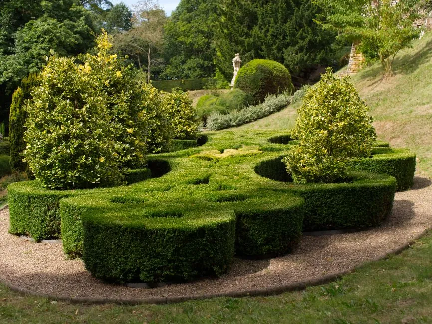 Entretien de jardin a Avignon : tonte et debroussaillage
