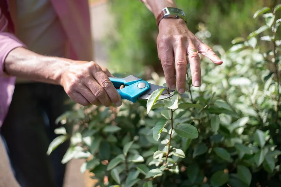 Creation paysagere et amenagement de jardin a Avignon